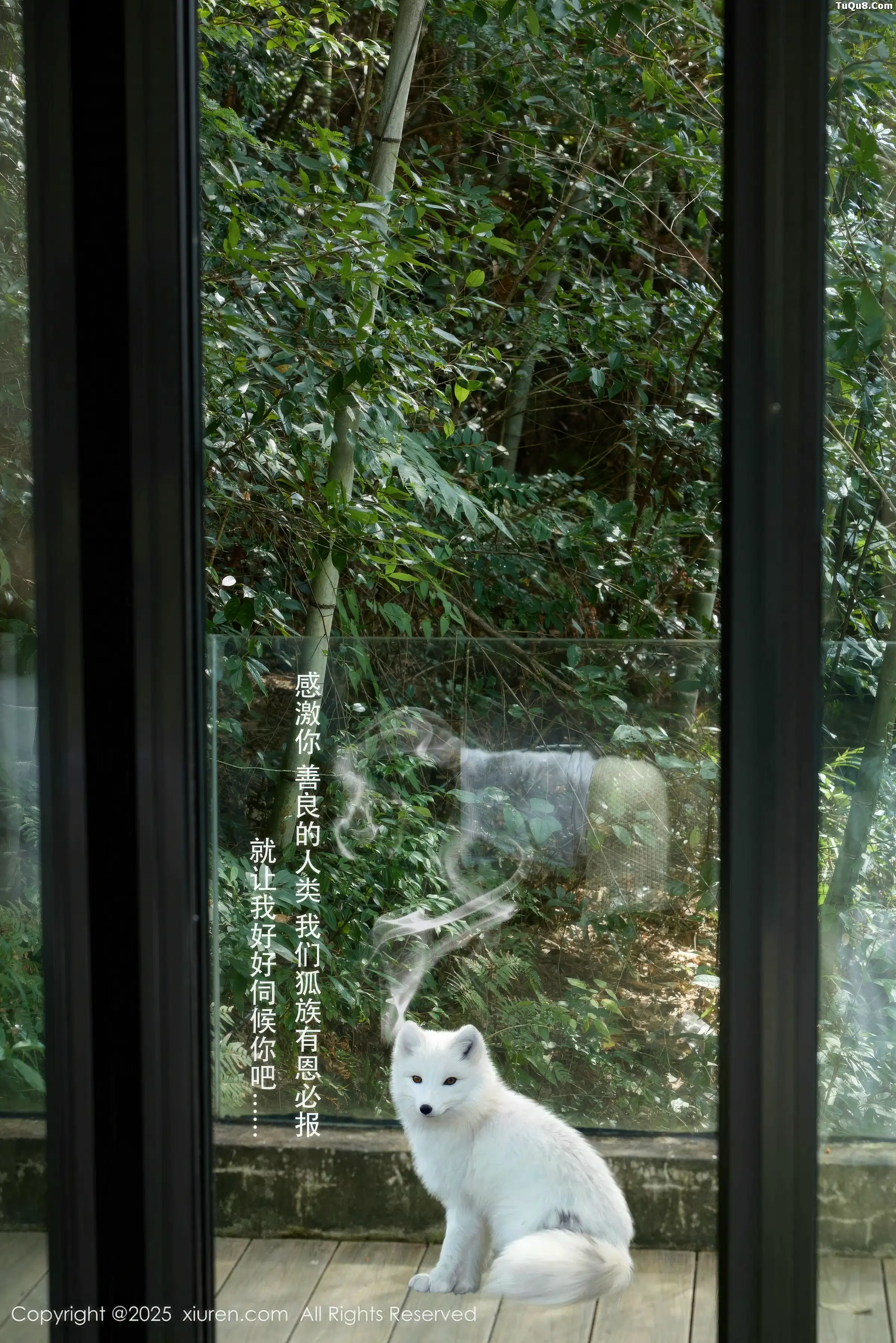 Issue 11068 of Tien Tien's Photo Shoot [55 Pictures]