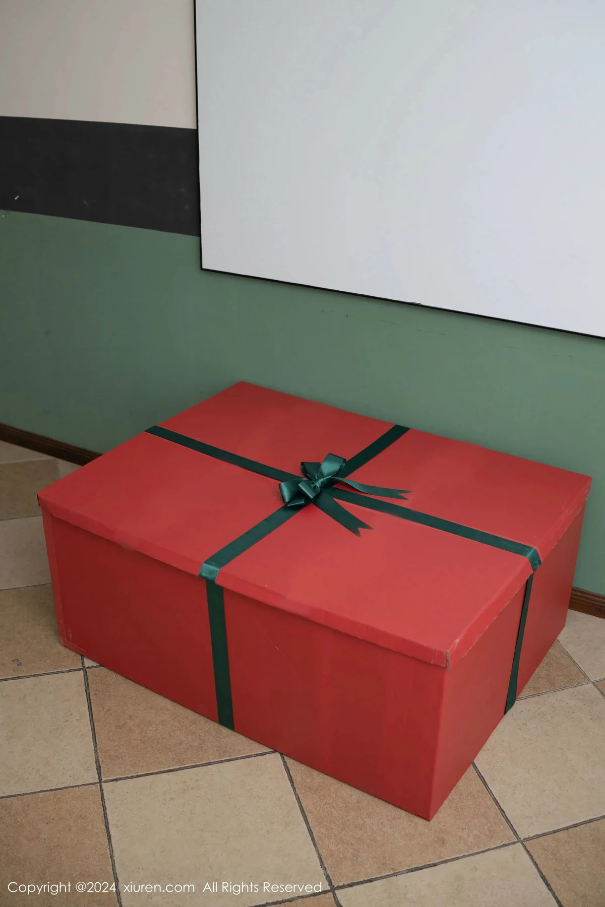 Issue 9657 of Cherry Blossom Photos [82 Pages]